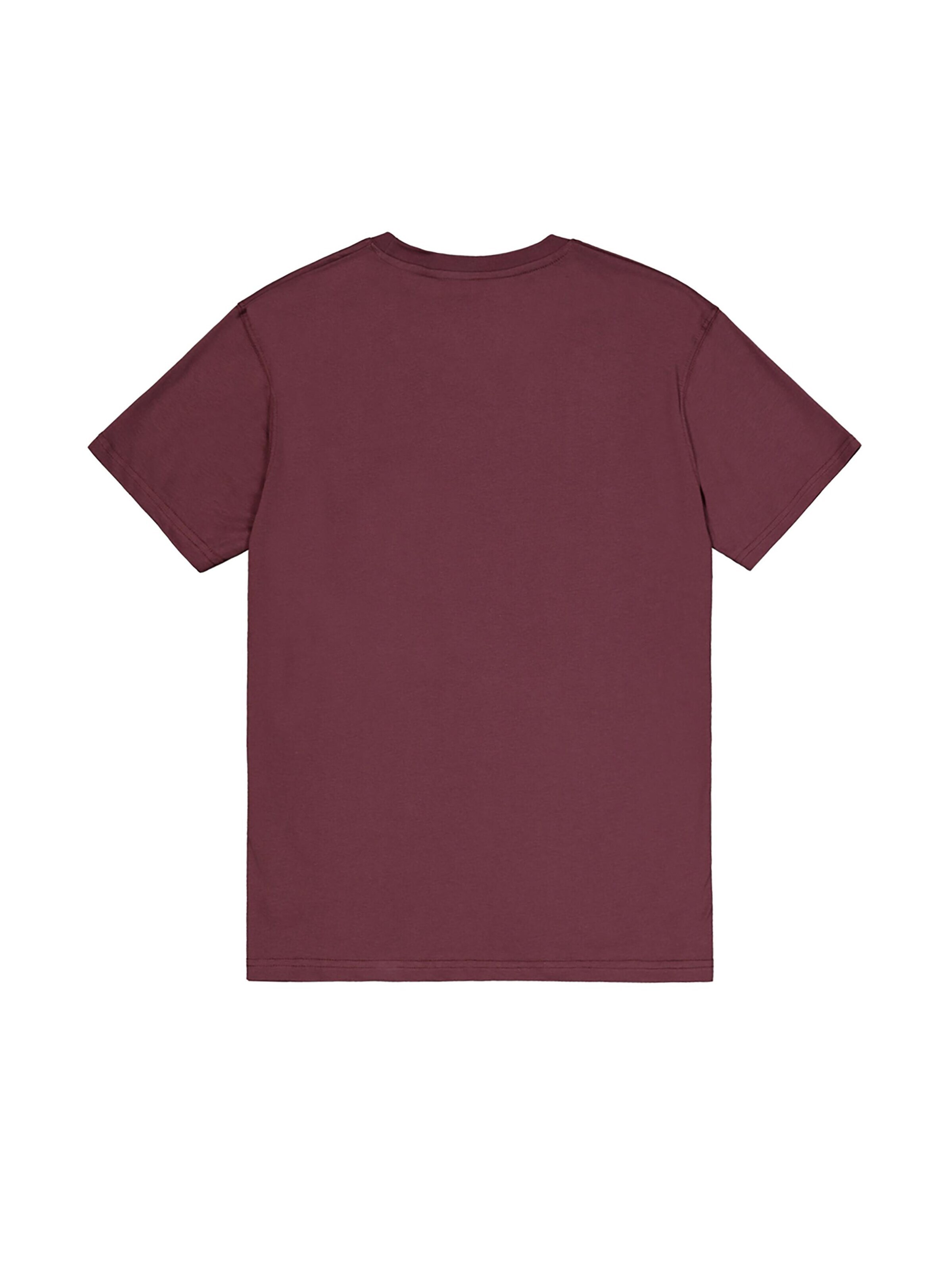 ALPHA INDUSTRIES Regular fit Shirt 'Basic Small Logo' in Red