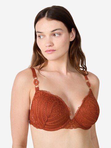 ETAM T-Shirt BH 'Gamme' in Braun