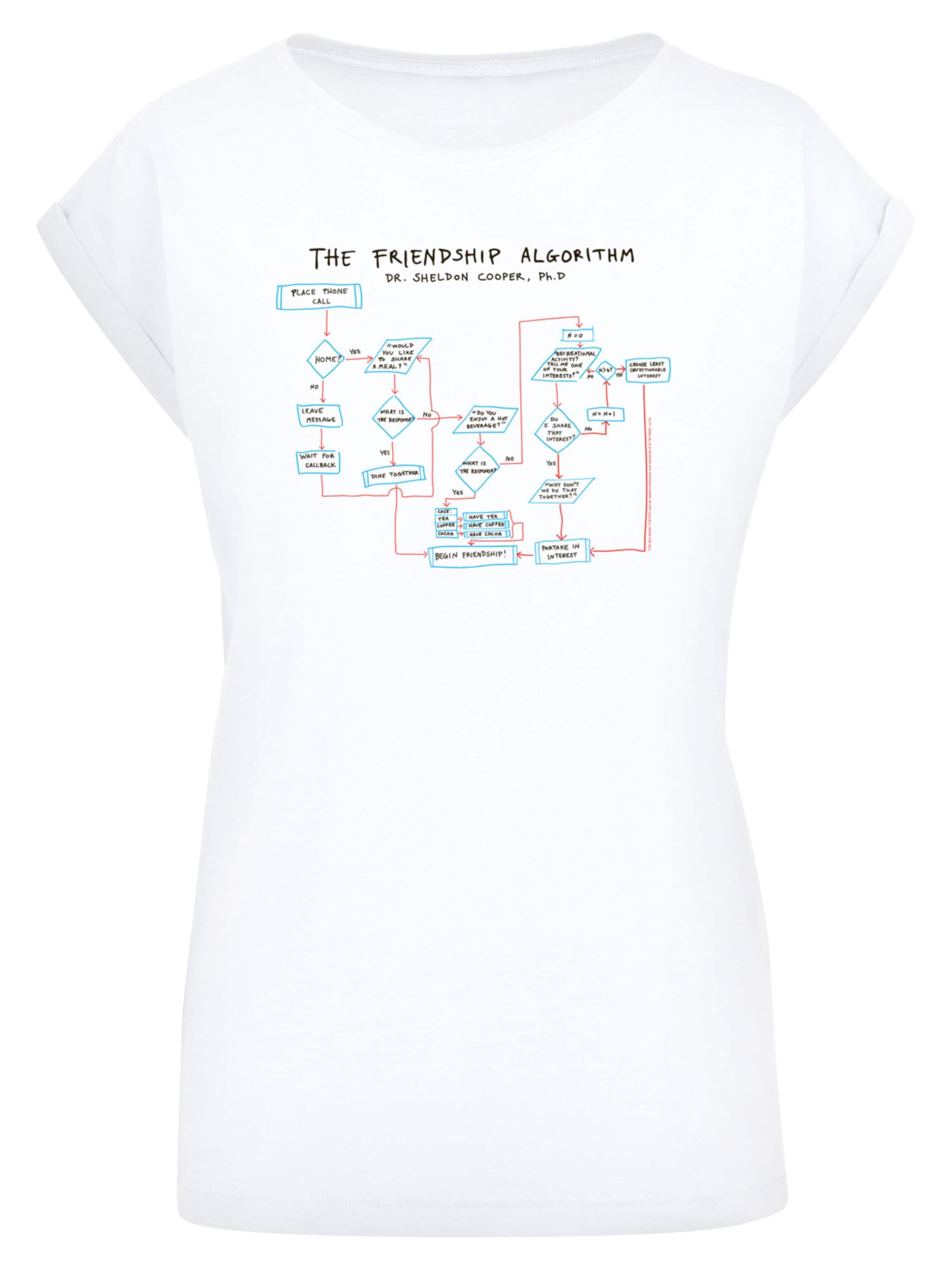 F4NT4STIC T-Shirt 'Theory Friendship Algorithm' in Weiß: Vorderseite