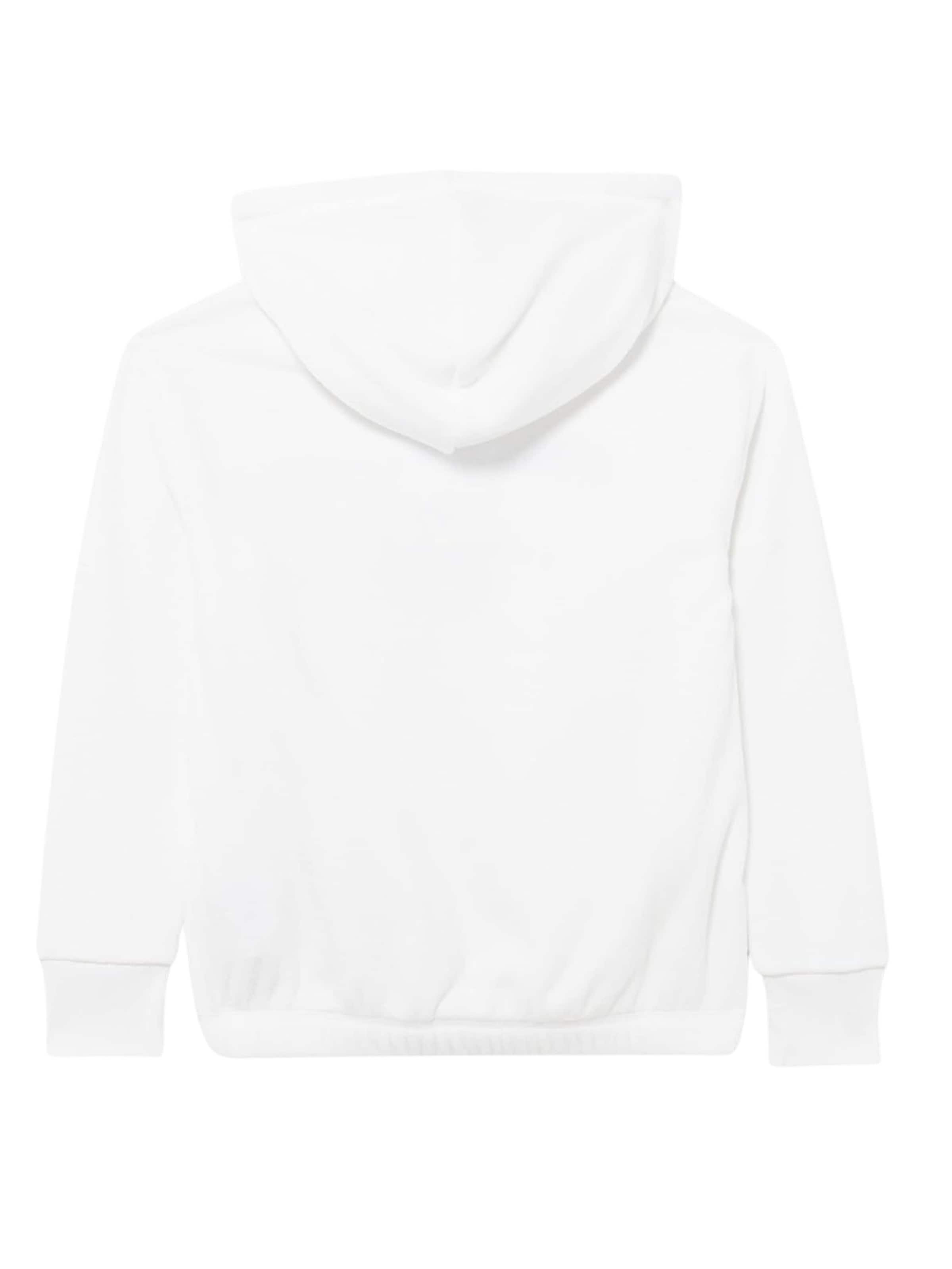 Sweat-shirt Champion Authentic Athletic Apparel en blanc