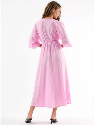 Busem Dress in Pink
