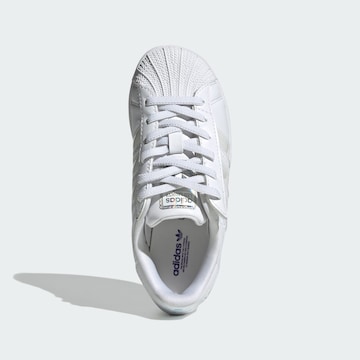 ADIDAS ORIGINALS Sneakers 'Superstar' in Wit