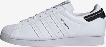 Baskets basses 'Superstar' ADIDAS ORIGINALS en blanc : devant