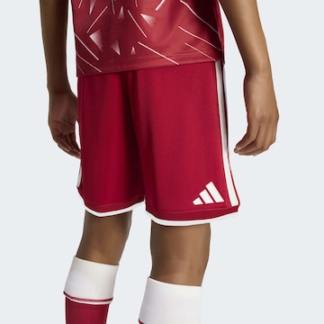 ADIDAS PERFORMANCE - regular Pantalón deportivo 'FC Liverpool 26/27' en rojo