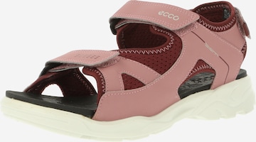 ECCO Sandalen 'ECCO BIOM RAFT' in Roze: voorkant