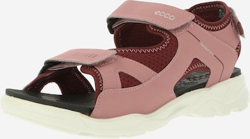 ECCO Sandals in Pink: front