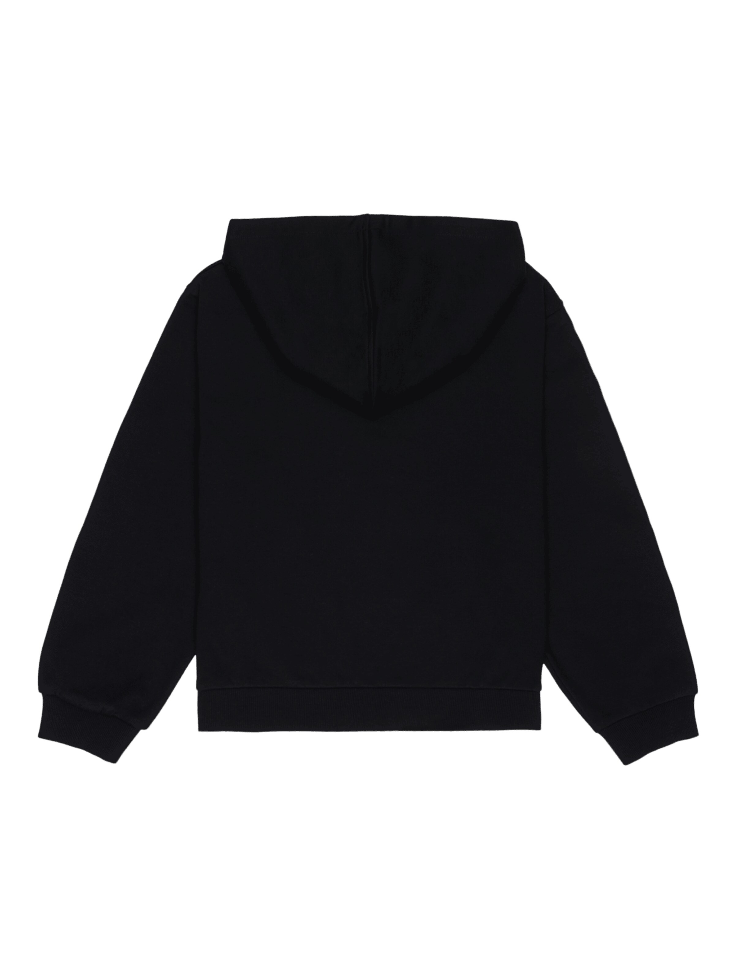 ROXY Sweatshirt 'Hope You Trust 2' in Grey