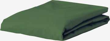 ESSENZA Bed Sheet in Green: front