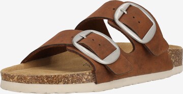 Cruz Sandalen 'Bundao' in Braun: predná strana