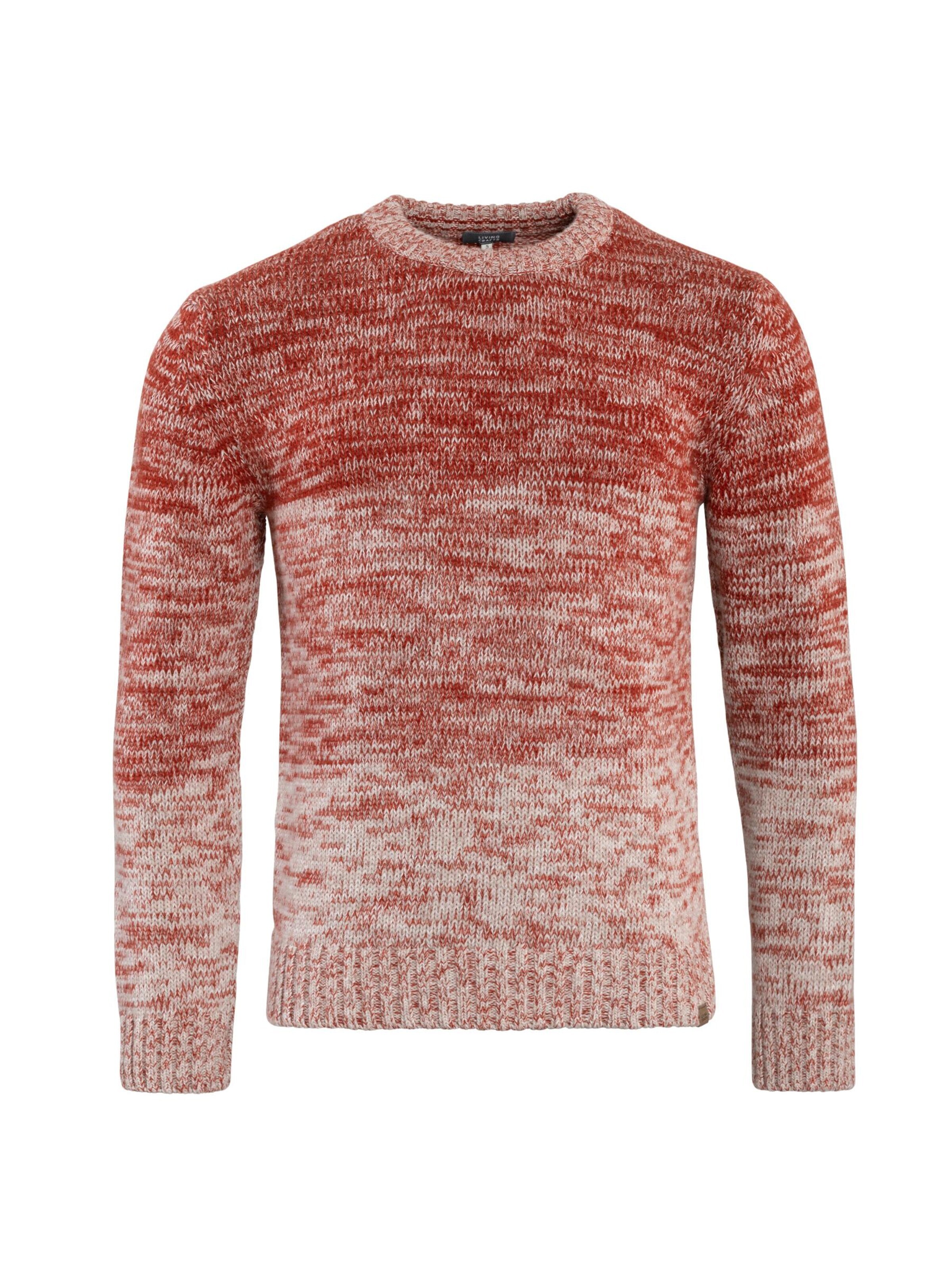 Living Crafts Sweater 'PASCAL' in L in Beige, Item view