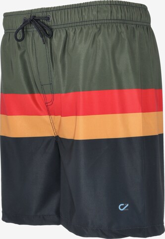 Cruz Board Shorts 'Indy' in Mixed colors