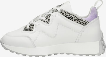 MARUTI Sneakers 'Kian' in White: front