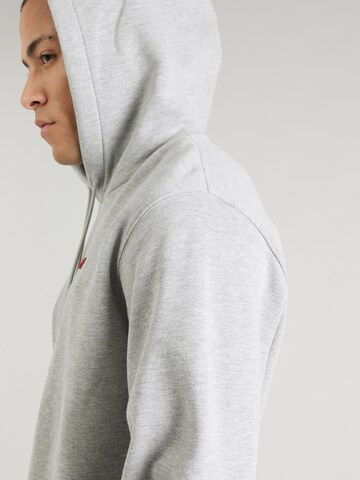 REPLAY Sweatshirt i grå