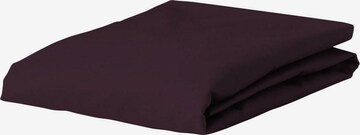 ESSENZA Bed Sheet in Red: front