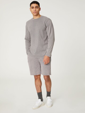 regular Pantaloni 'Connor' di DAN FOX APPAREL in grigio