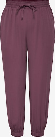 ONLY Carmakoma Pants 'Jackie' in Purple: front