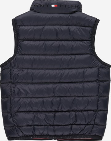 Gilet di TOMMY HILFIGER in blu