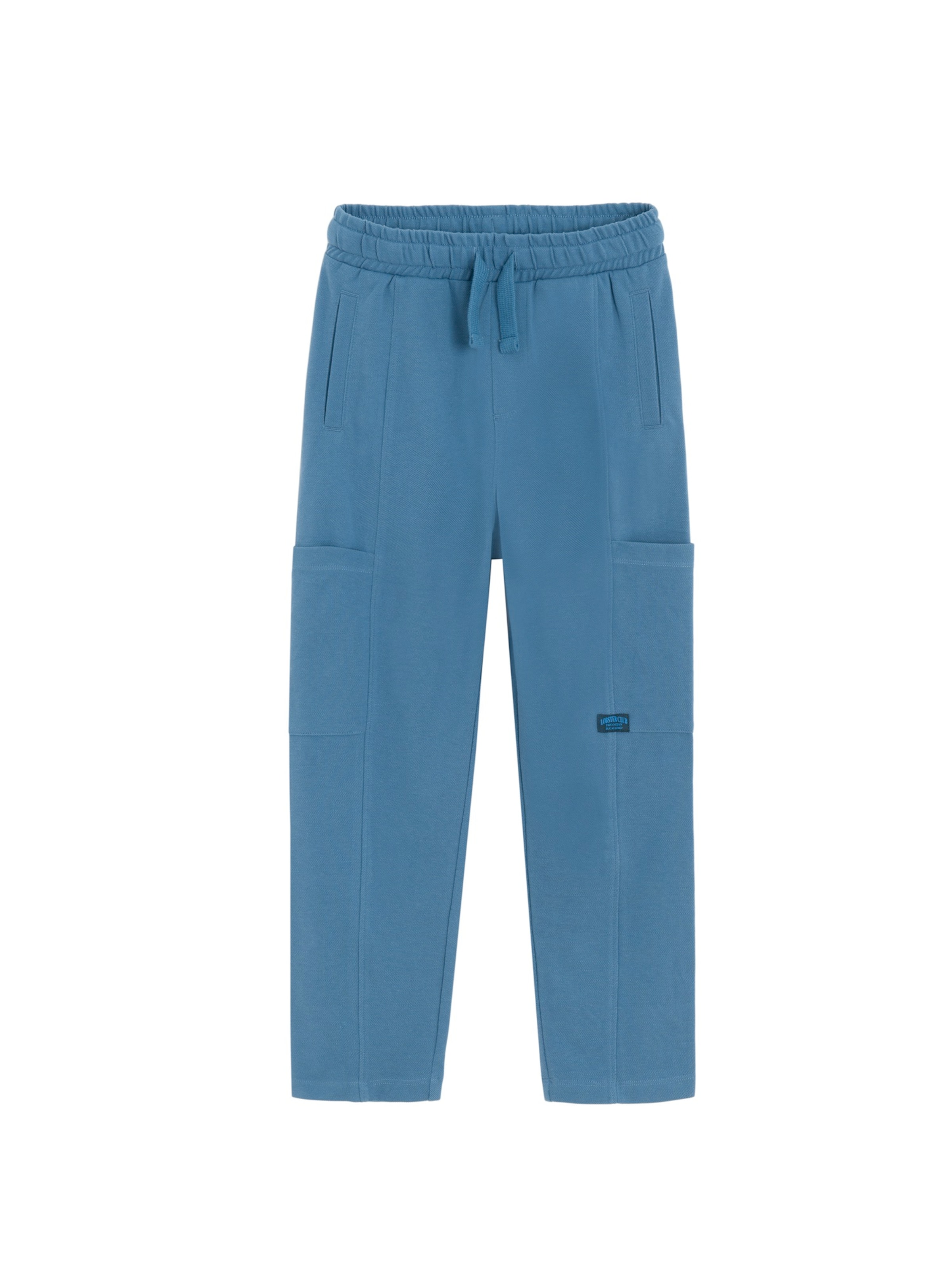 Cool Club Regular Trousers in Blue: front