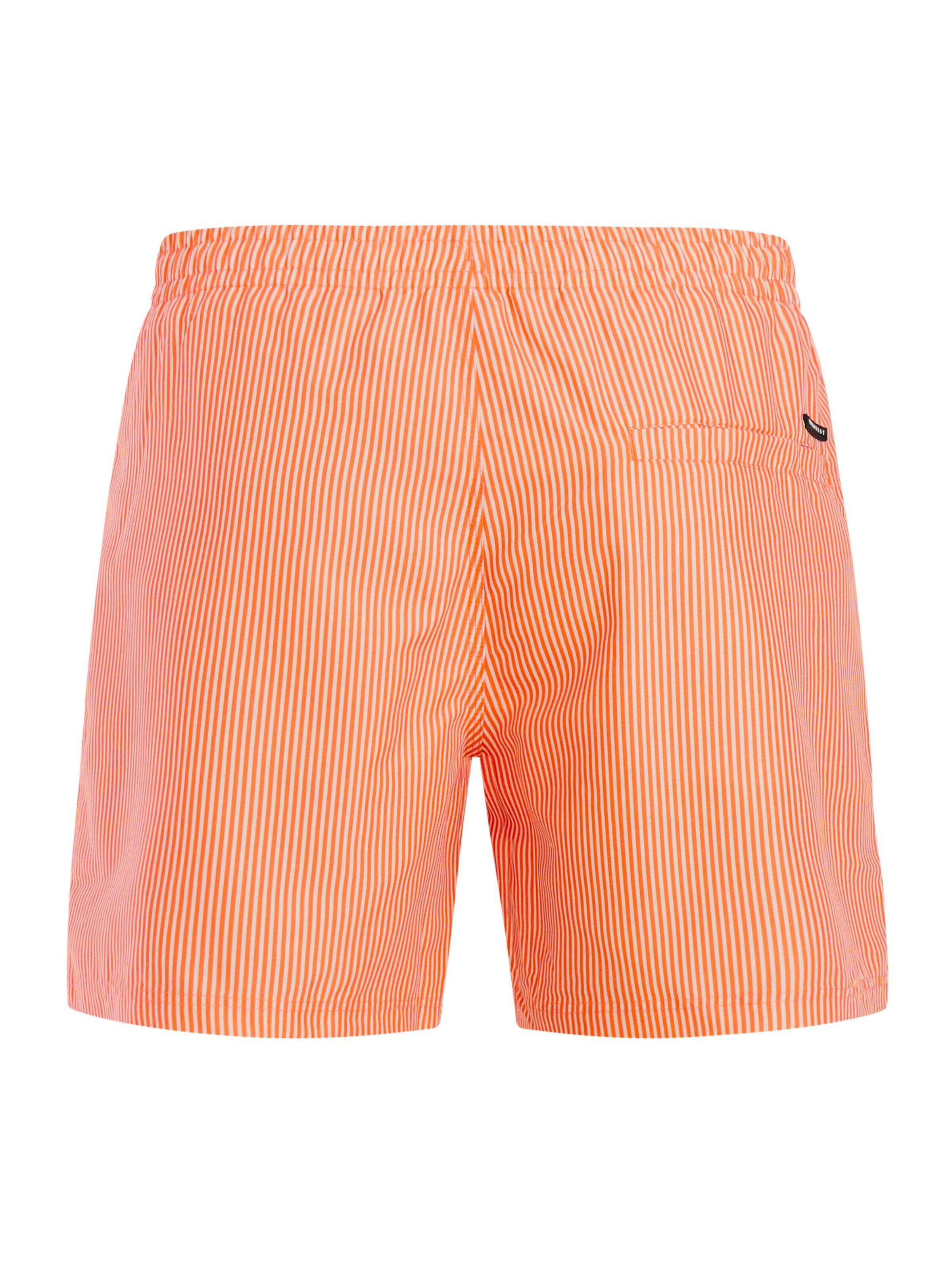 PROTEST Board Shorts 'PRTMarama' in Purple