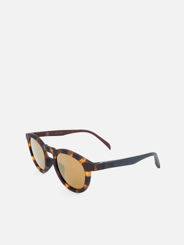 Adidas Sport - Gafas de sol 'AOR017/N Havana' en marrón