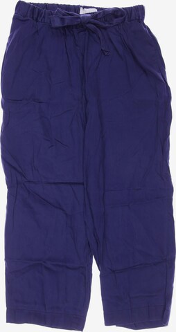 Sallie Sahne Pants in XS in Blue: front
