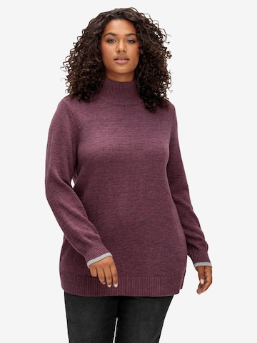 SHEEGO Sweater in Purple: front