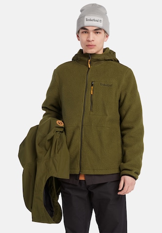 TIMBERLAND Tussenparka in Groen