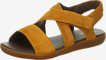 THINK! Strap Sandals 'Nature Sand' in Brown: front