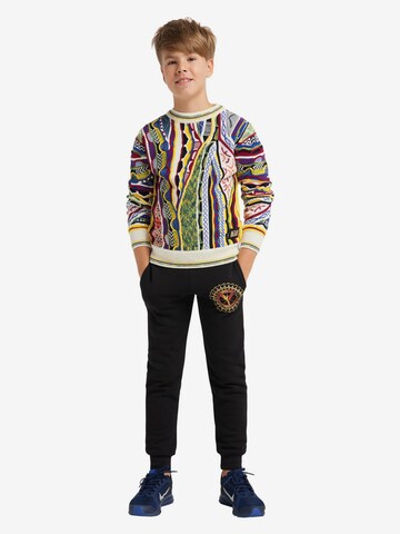 Carlo Colucci Sweater ' Casciaro ' in Mixed colors