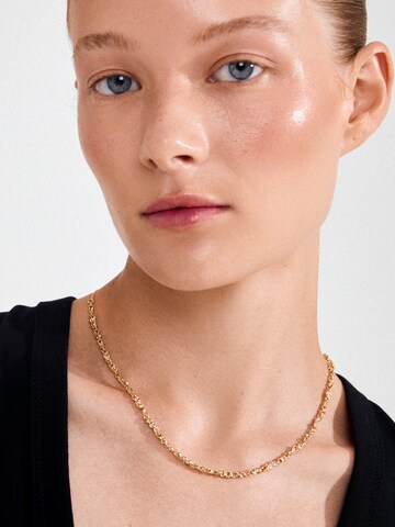 Pilgrim Αλυσίδα 'NOVA' σε χρυσό