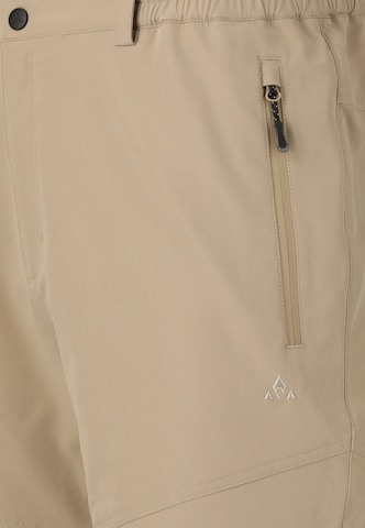 Whistler Regular Sports trousers 'AVIAN' in Brown