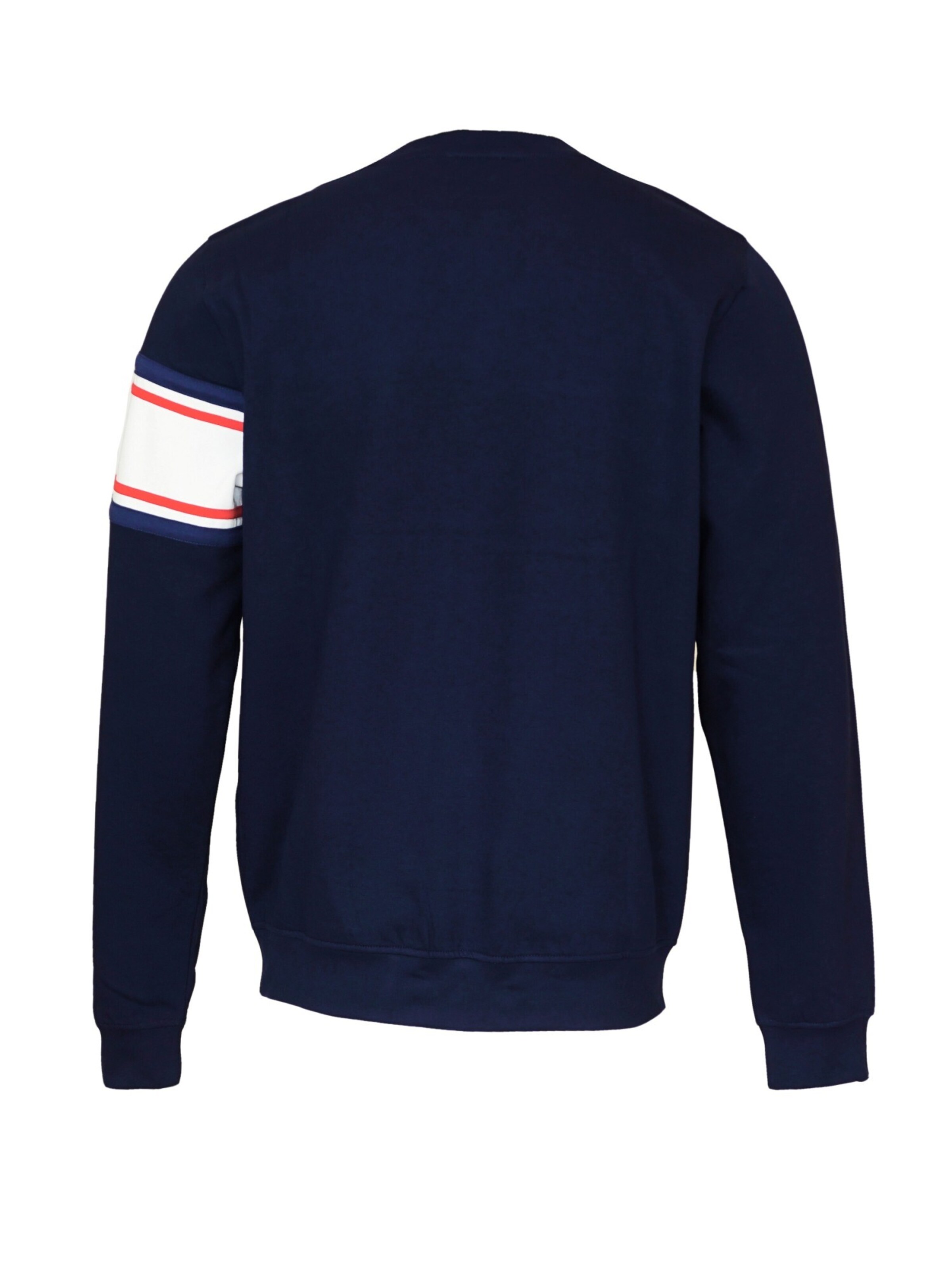 US Polo Pullover in Blau