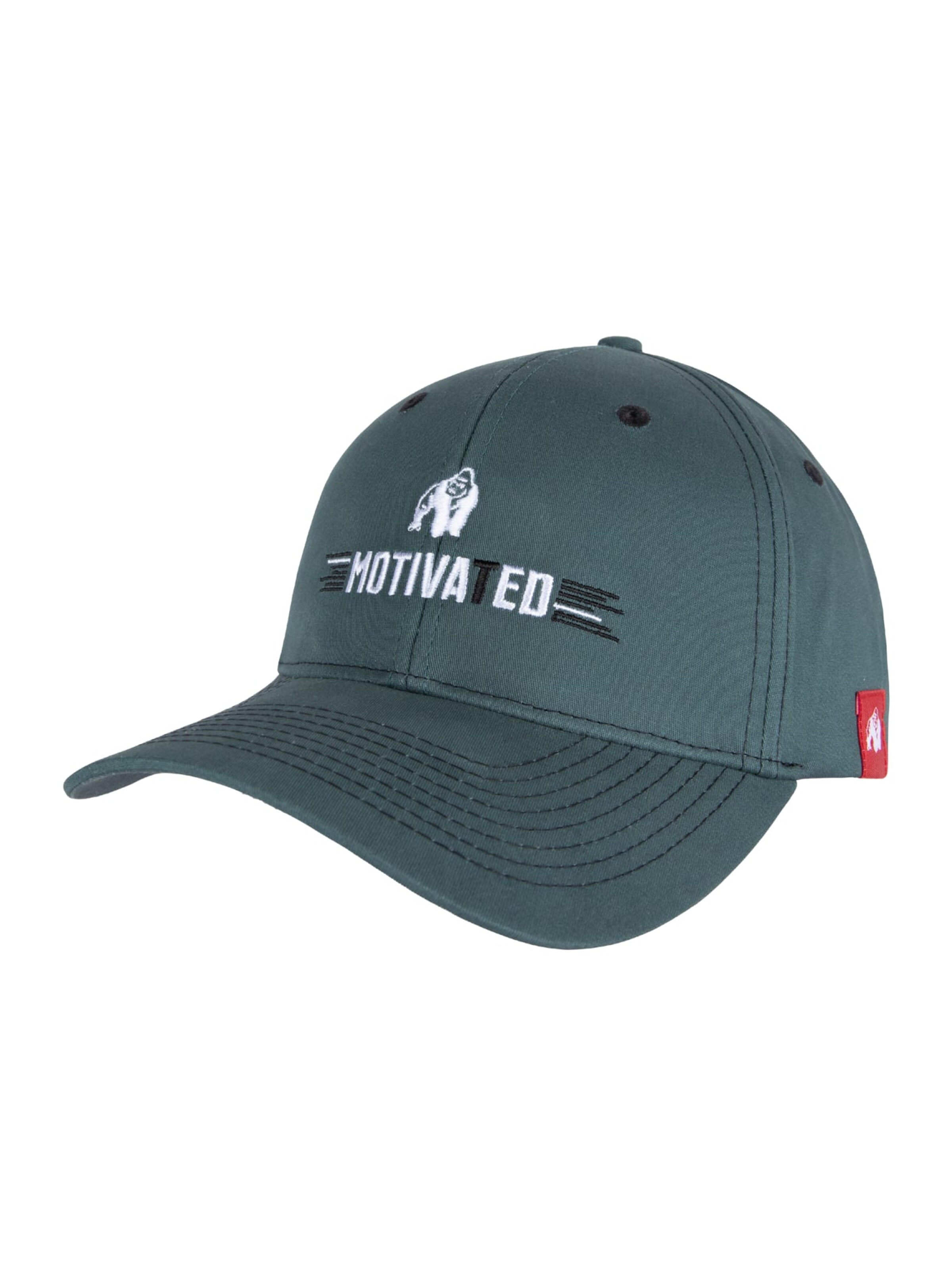 Gorilla Wear Cap 'Hays' in Grey: front