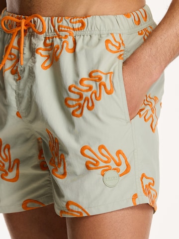 Shiwi Plavecké šortky 'NICK' - Sivá