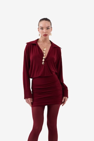 HOLLY LOLLY Kleid in Rot: Vorderseite