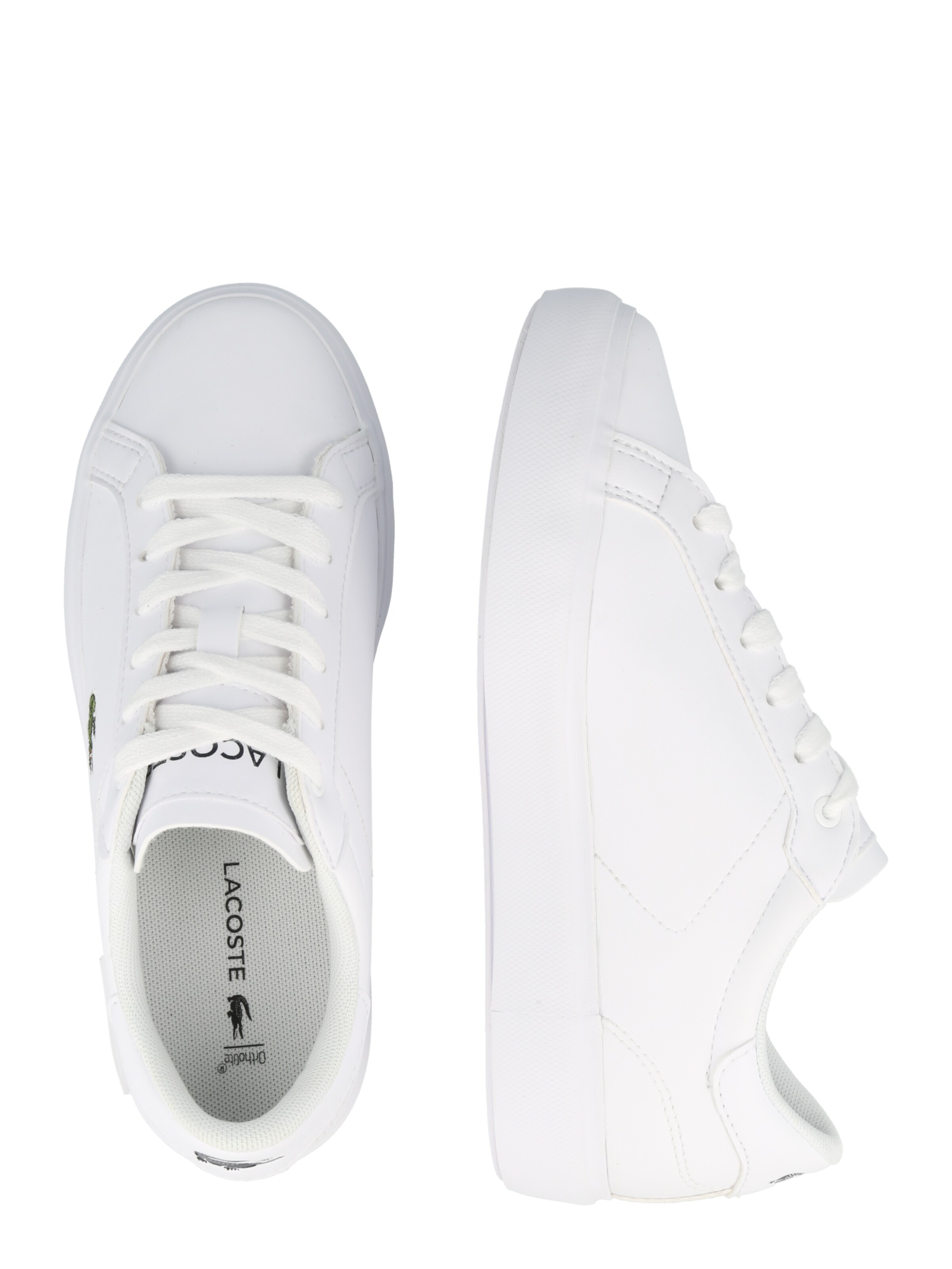 Baskets LACOSTE en blanc