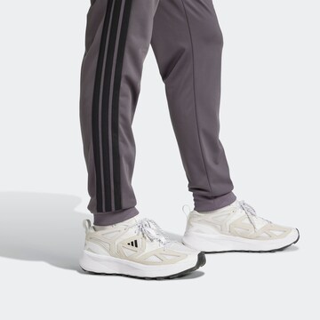 ADIDAS SPORTSWEAR Tapered Workout Pants in Grey