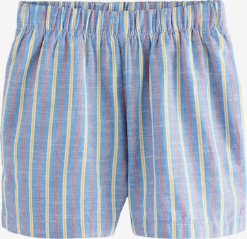 mėlyna Next Standartinis Kelnės: priekis