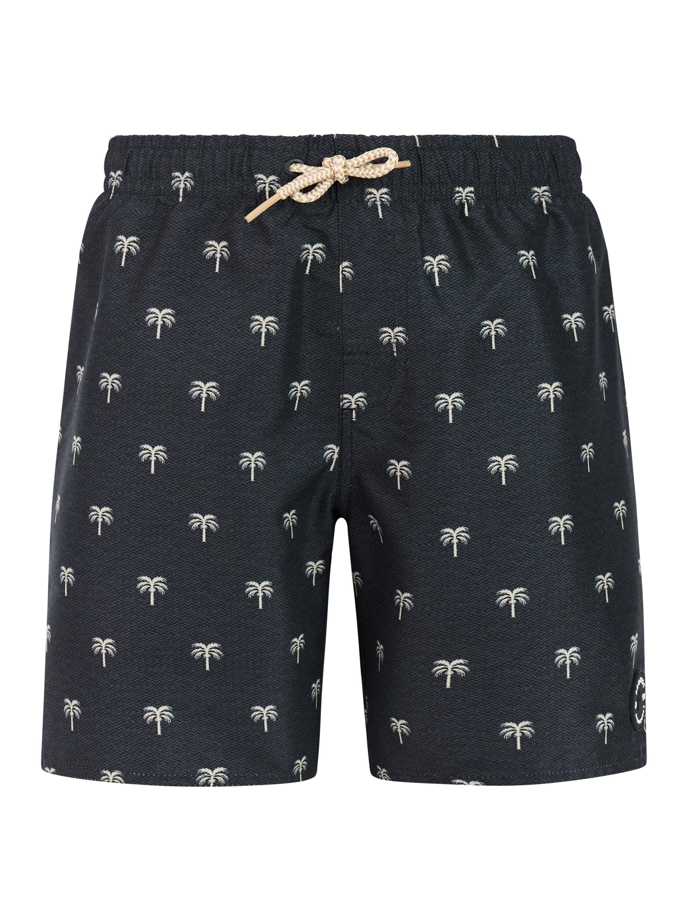 PROTEST Board Shorts 'PRTCalvin JR' in Black: front