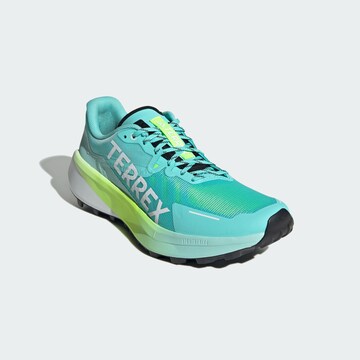 ADIDAS TERREX Loopschoen 'Agravic 3' in Blauw