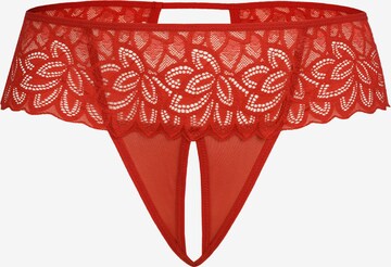 TEYLI - Tanga 'Rossu' en rojo: frente