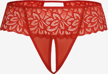 TEYLI String 'Rossu' in Rood: voorkant