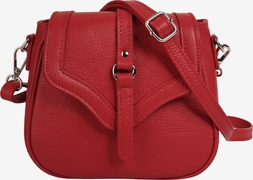 Cluty Crossbody Bag in Red: front