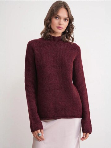 Pullover 'Pullover' di MixRay in rosso: frontale
