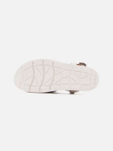 Sandales GABOR en gris