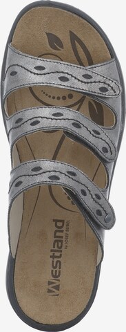 Westland Sandals 'IBIZA 66' in Grey