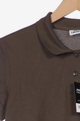 LACOSTE Top & Shirt in XL in Brown