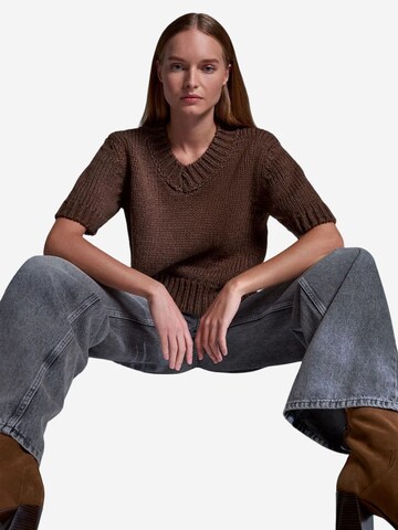 Dilvin Pullover 'Pullover'‌‌‌‌‌‌‌‌‌‌ in Braun