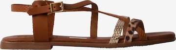 Oh my Sandals Sandały w kolorze brązowy: przód