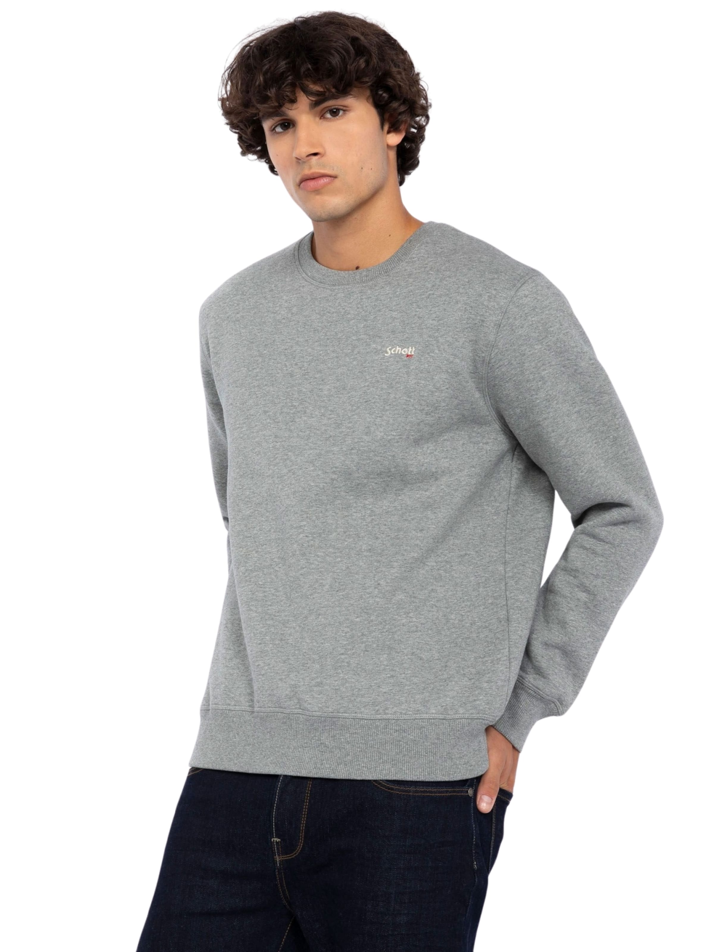 Schott NYC Sweatshirt in Grey